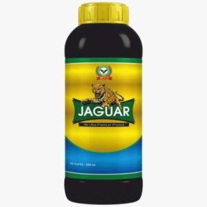 JAGUAR