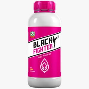BLACK FIGHTER