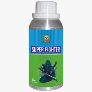 SUPER FIGHTER