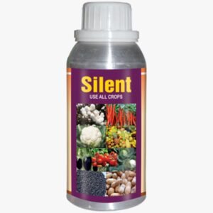 SILENT