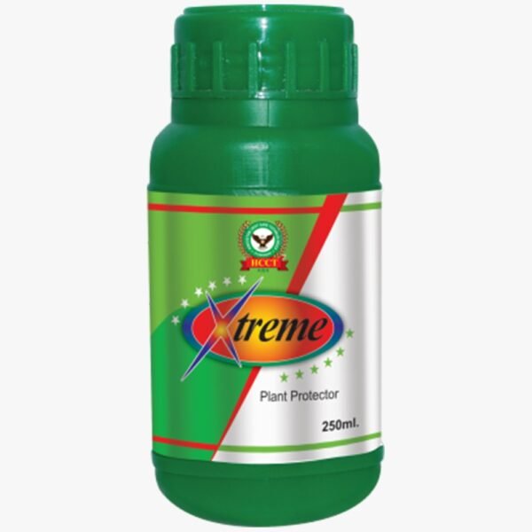XTREME