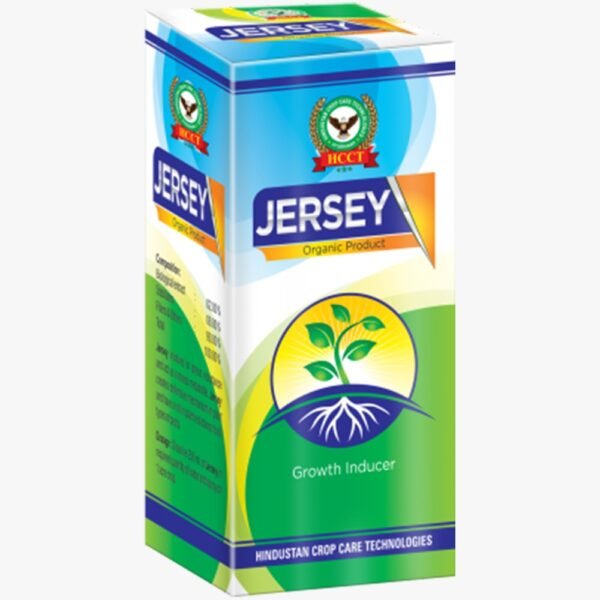 JERSEY