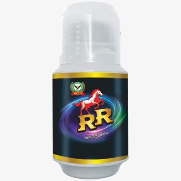 RR