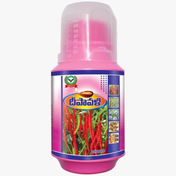 DIPAWALI